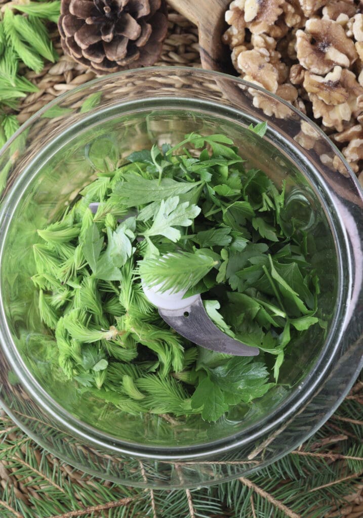 How to blend spruce tips with parsley and olive oil.